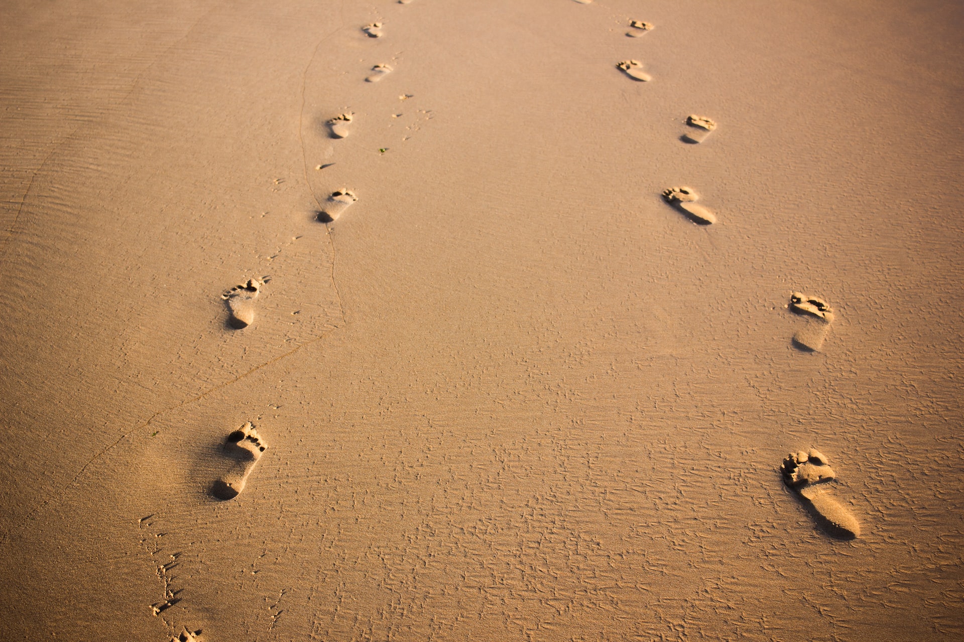 felipe-correia-ScQngs6oO1E-unsplash felipe-correia-ScQngs6oO1E-unsplash